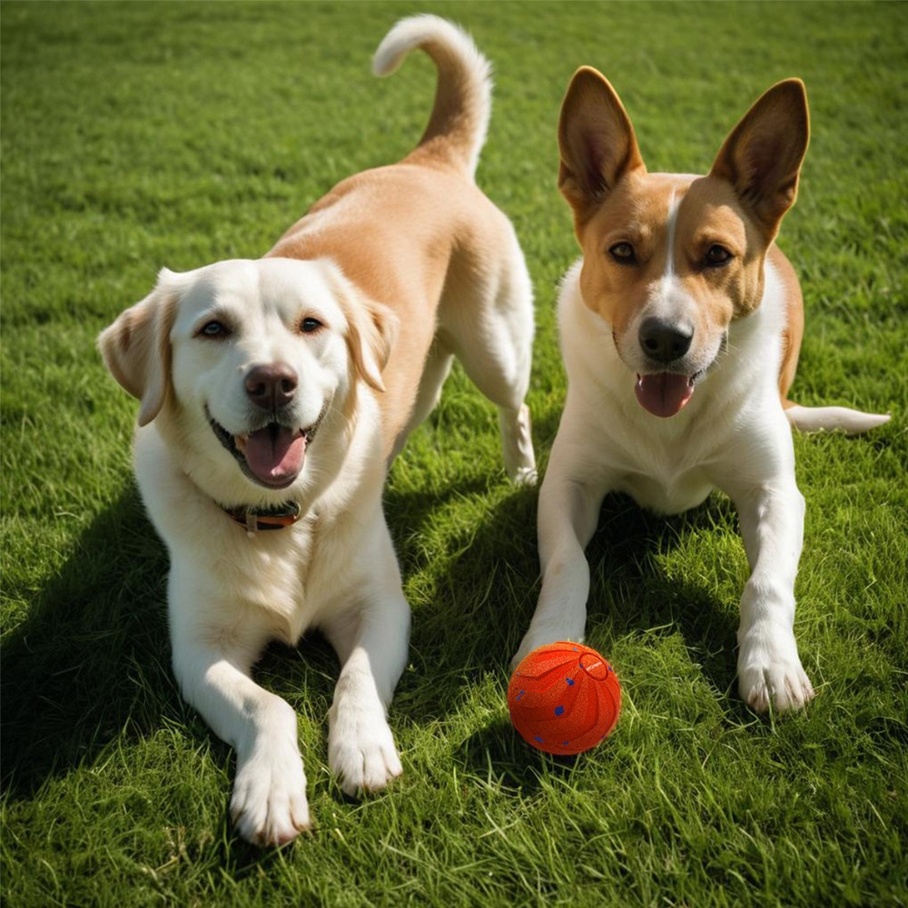 Isırmaya Dayanıklı, Akıllı Köp - Automatic Moving Dog Ball incelemesi ve fiyatı