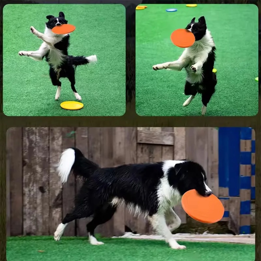 Köpekler için TPR Evcil Hayvan - Flying Disc Dog Training Toy incelemesi ve fiyatı