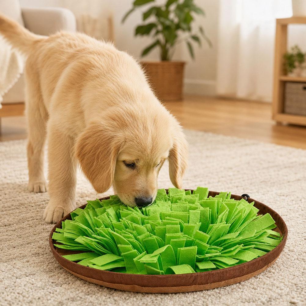 Köpekler İçin Etkileşimli Besl - Dog Puzzle Feeder Toy incelemesi ve fiyatı