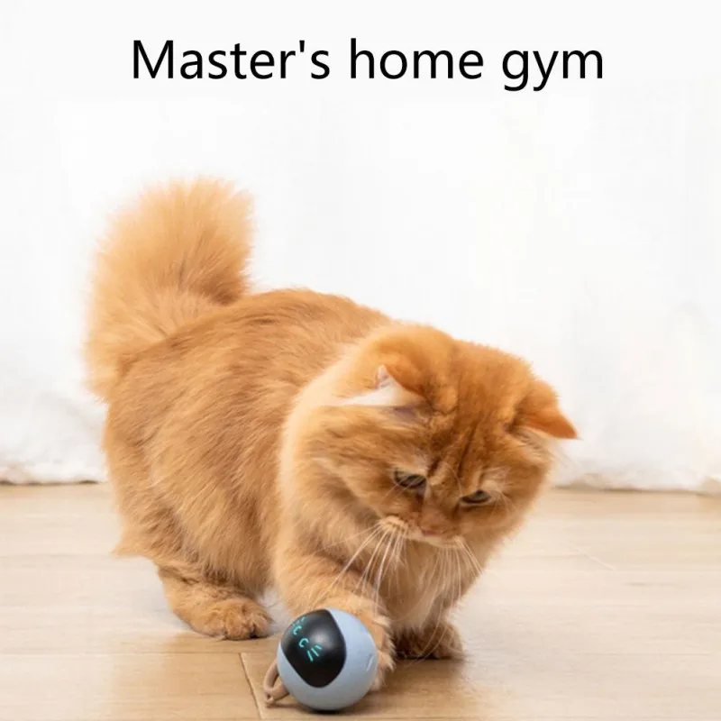 İnteraktif Kedi Topu Oyuncak U - Automatic Moving Dog Ball incelemesi ve fiyatı