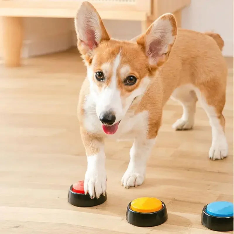 Pet Ses Kutusu Kaydedilebilir  - Interactive Squeaky Plush Dog Toy incelemesi ve fiyatı