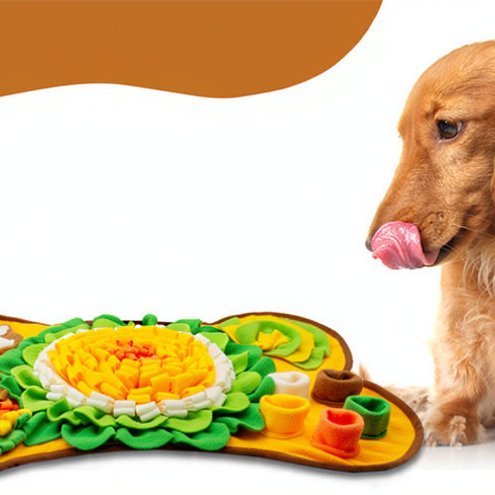 Köpekler İçin Kürk Matı, Kemik - Dog Puzzle Feeder Toy incelemesi ve fiyatı